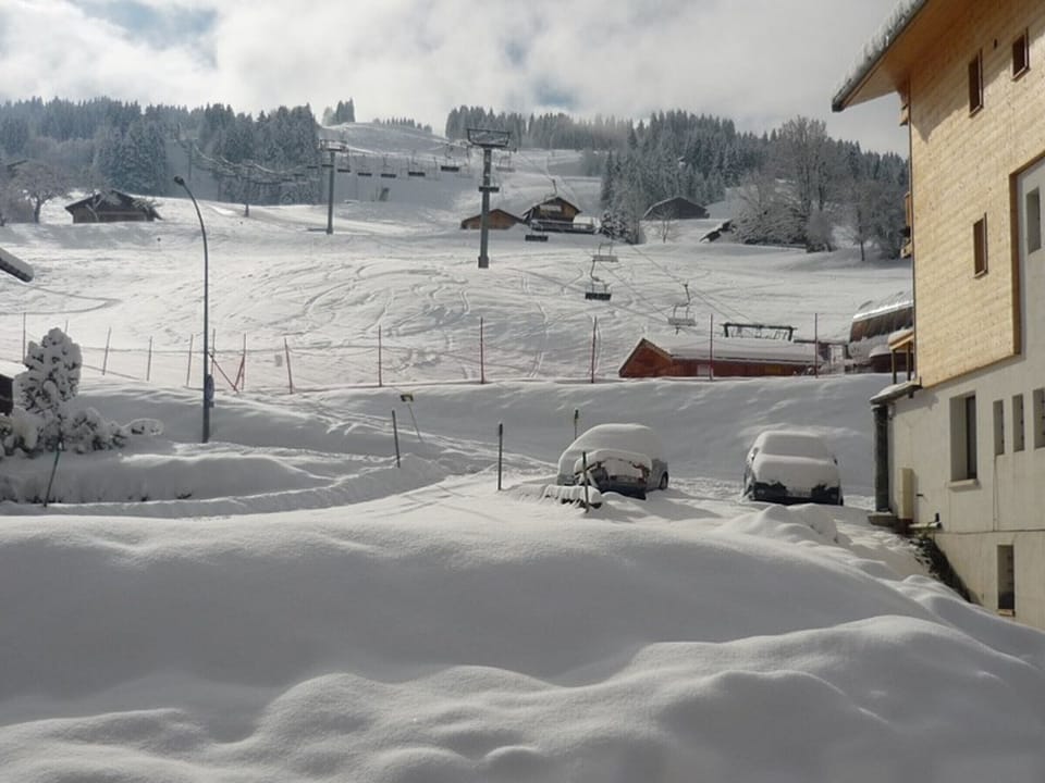 Snow and ski sports
