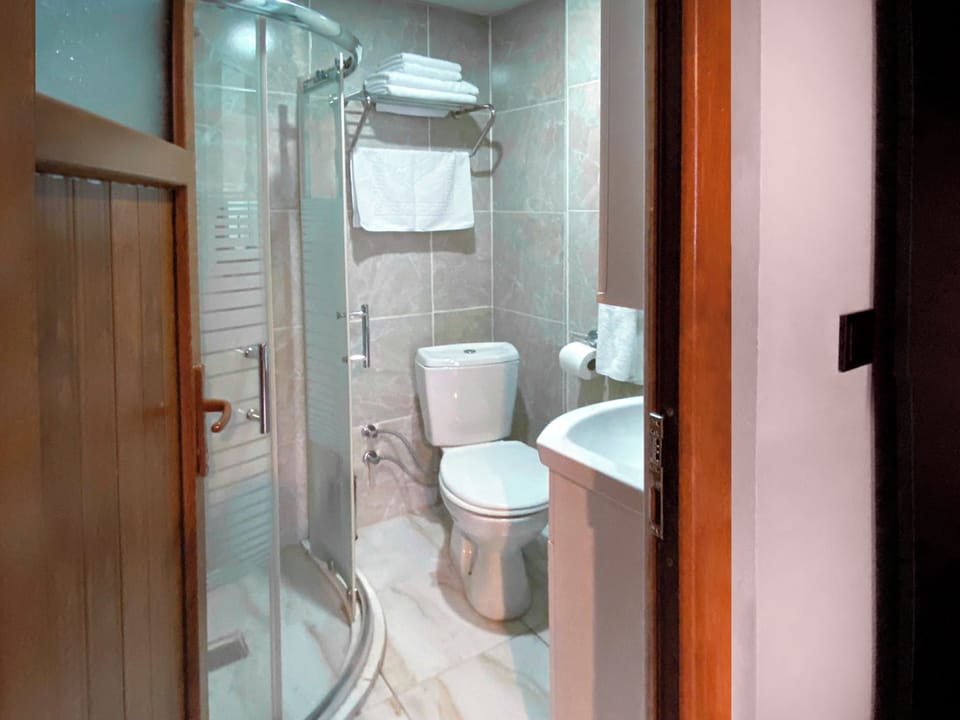 Shower, hair dryer, slippers, towels
