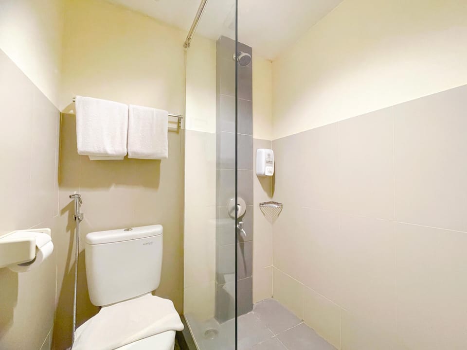 Shower, free toiletries, hair dryer, slippers