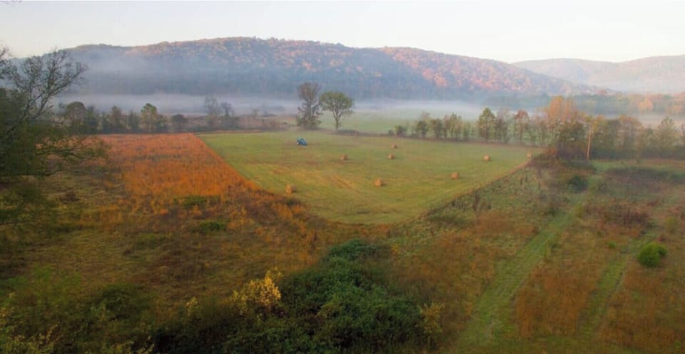 Black Mountain View at the cabin
