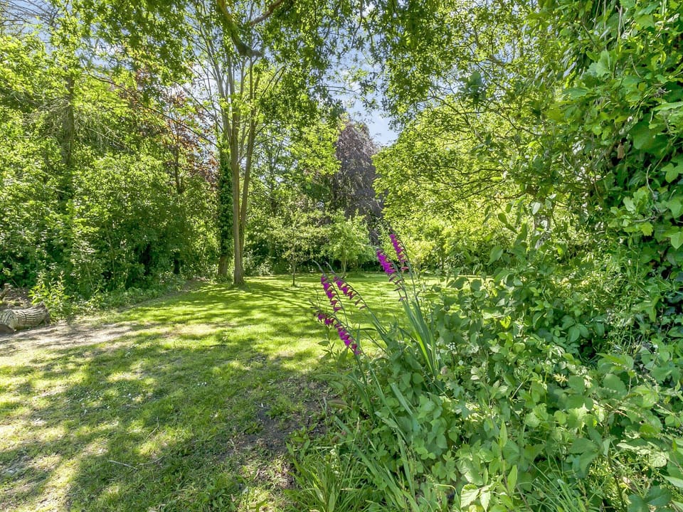Garden | South Wood Lodge, Walberton, near Arundel