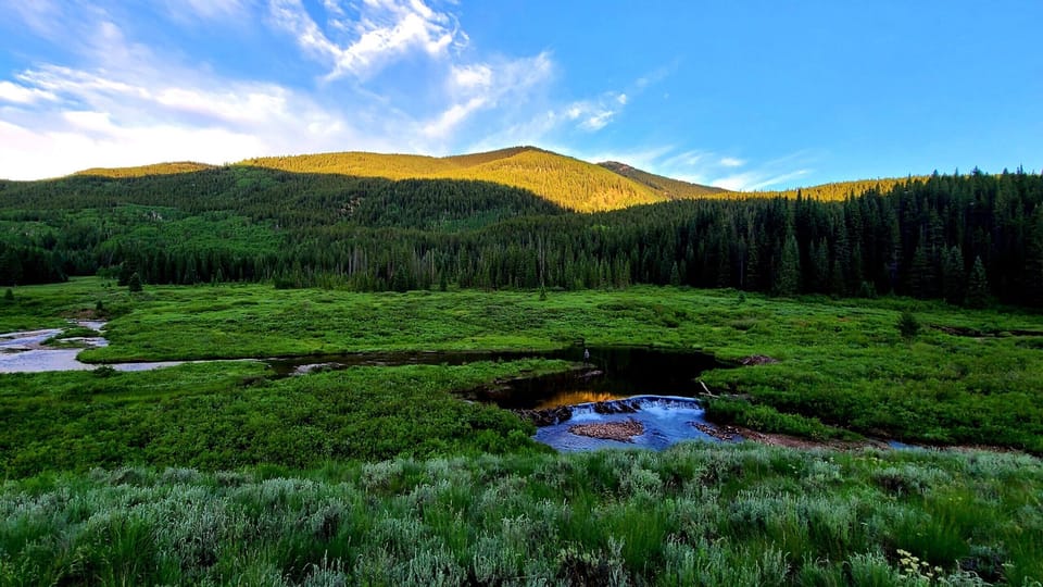 World class fly-fishing minutes away from Mountain Modern