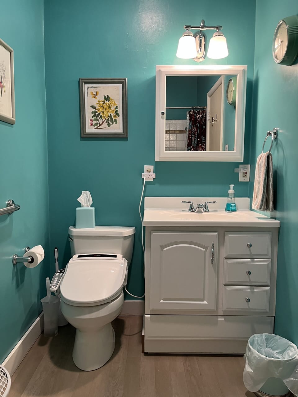 Cheery bathroom, trad. tub/shower, grab bars for safety and Lotus smart bidet.