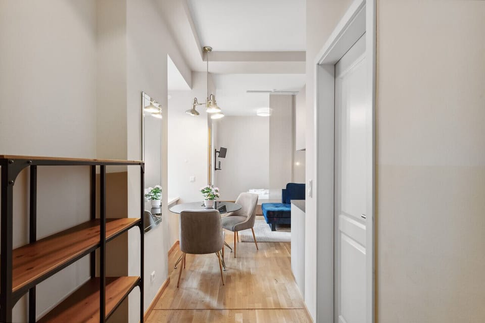 Blick von der Eingangstür in das 1-Zimmer Apartment.