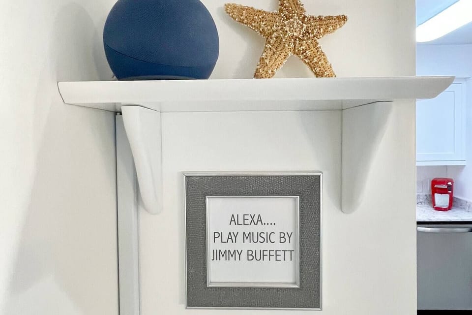 Ask Alexa when high tide is or info on the closest pizza shop.  She'll also alert you when someone is at the door.  Don't want to be bothered... simply unplug her.