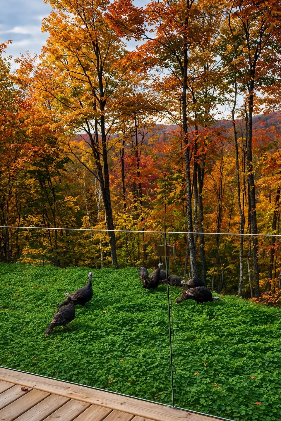View from property