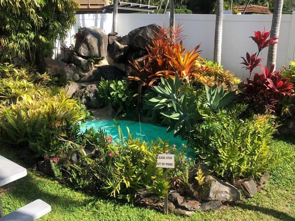 Outdoor area