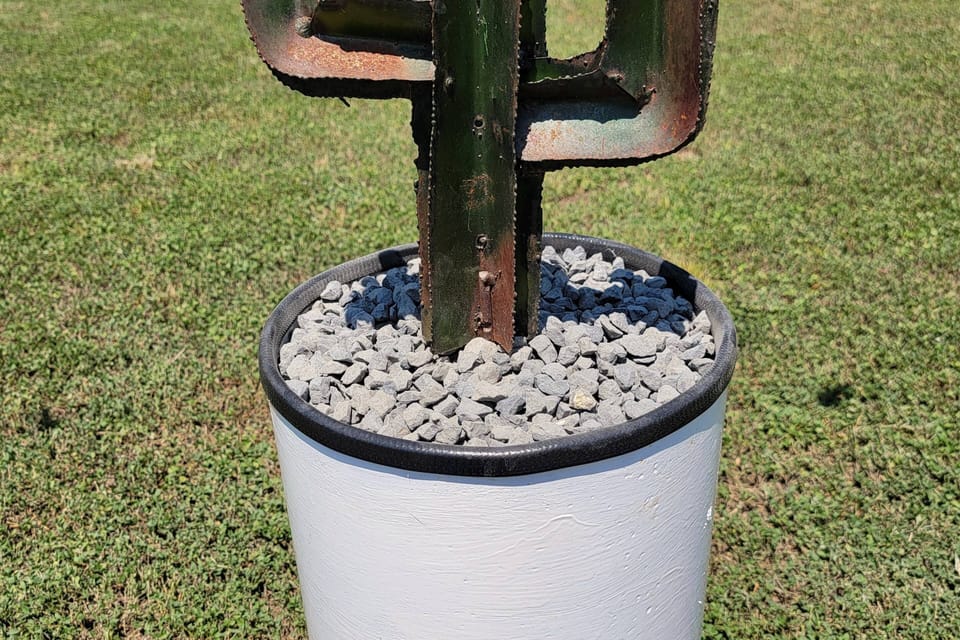 Cactus decoration in large back yard