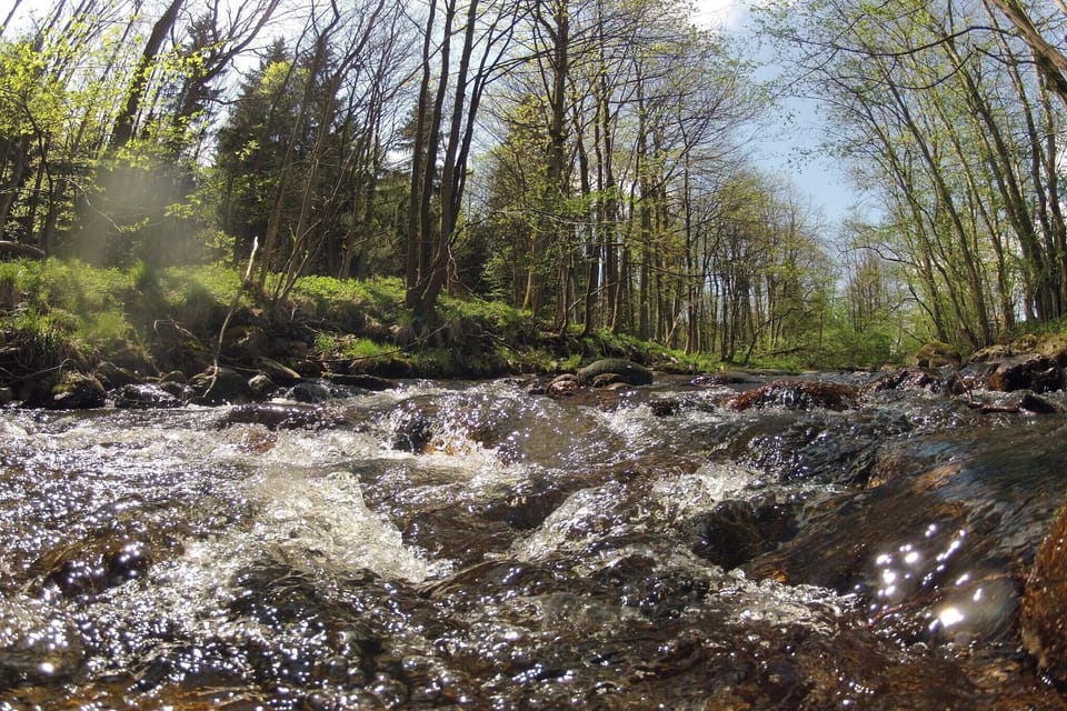 Surroundings [summer] (1-5 km)
