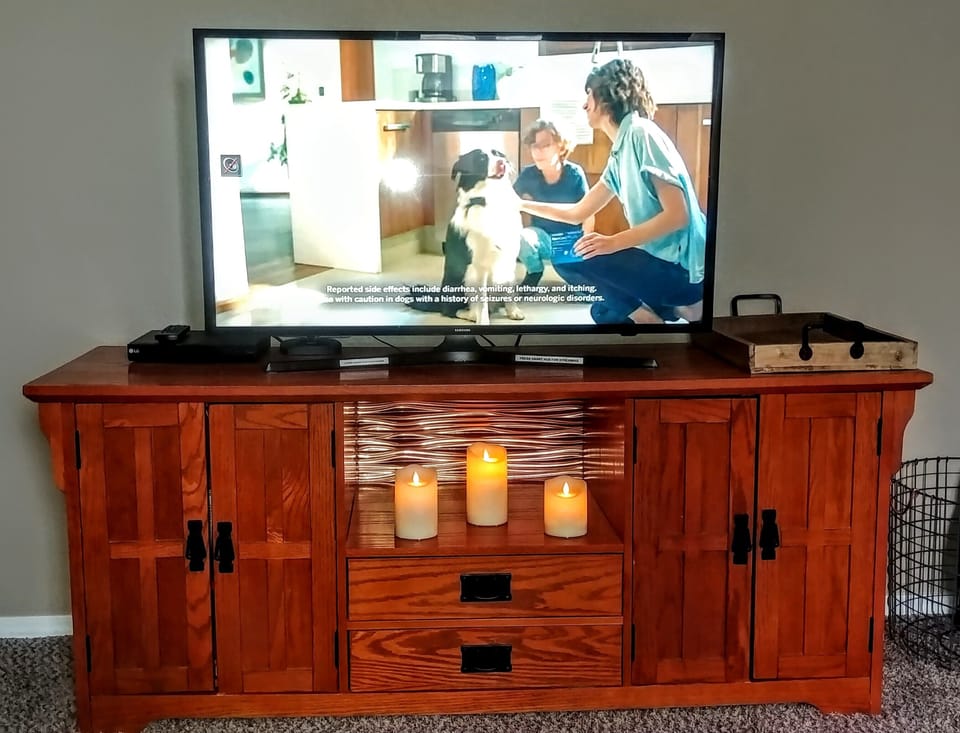 TV in Living Room