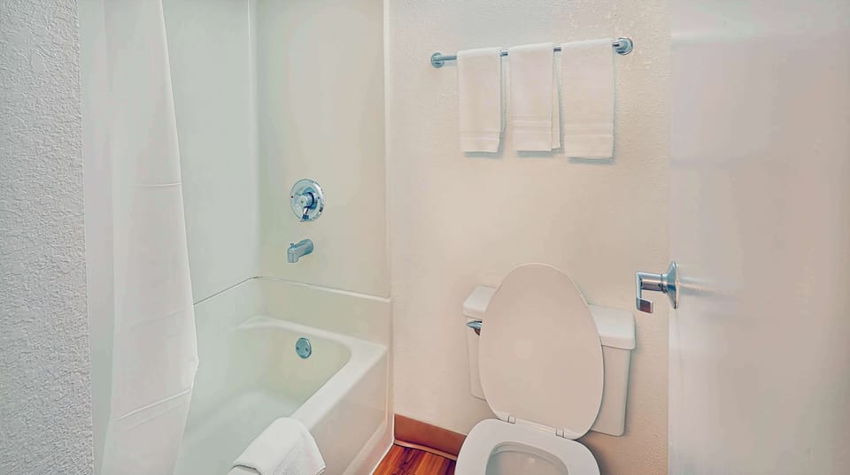 Rainfall showerhead, hair dryer, towels, soap