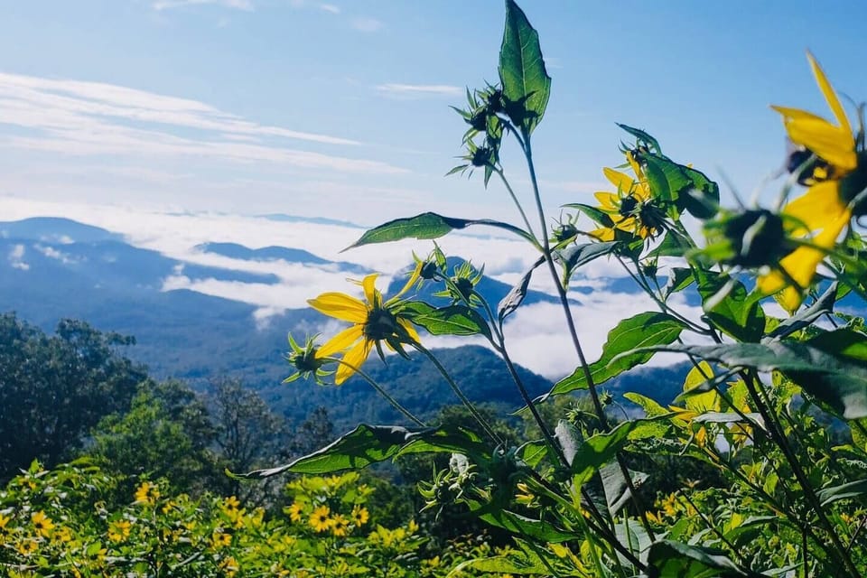 Take an adventure to The Blue Ridge Parkway 