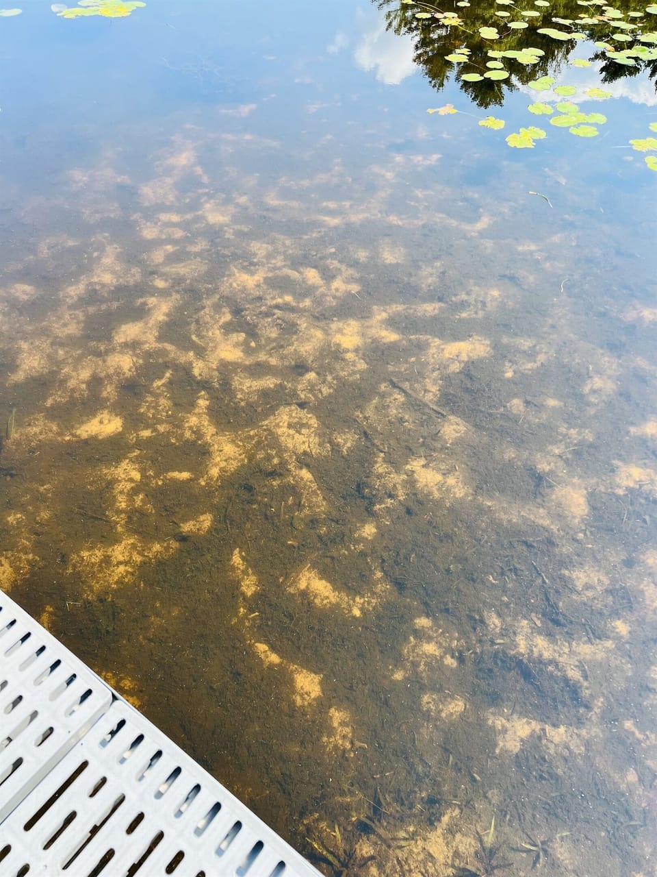The water in Little Sand Lake is clean and clear all summer long! The lake bottom around the dock is a mix of sand, sediment, and some aquatic vegetation.  This photo was taken mid-Aug, 2024.