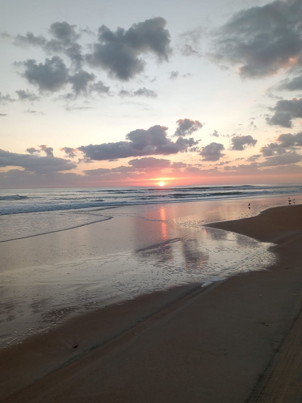 Sunrise on Daytona Beach 
