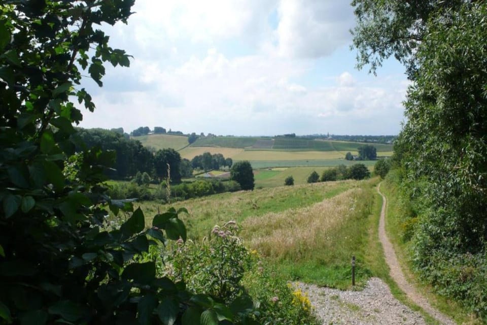 Region [summer] (>5 km)