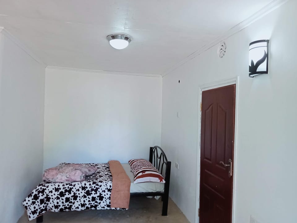 Basic Single Room | Living area