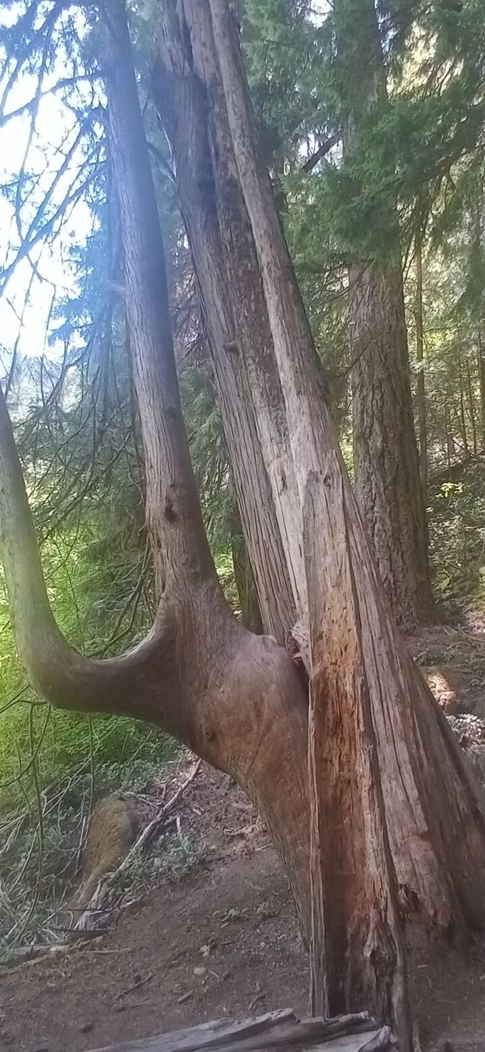 Point of interest