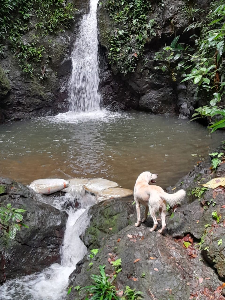 Hiking