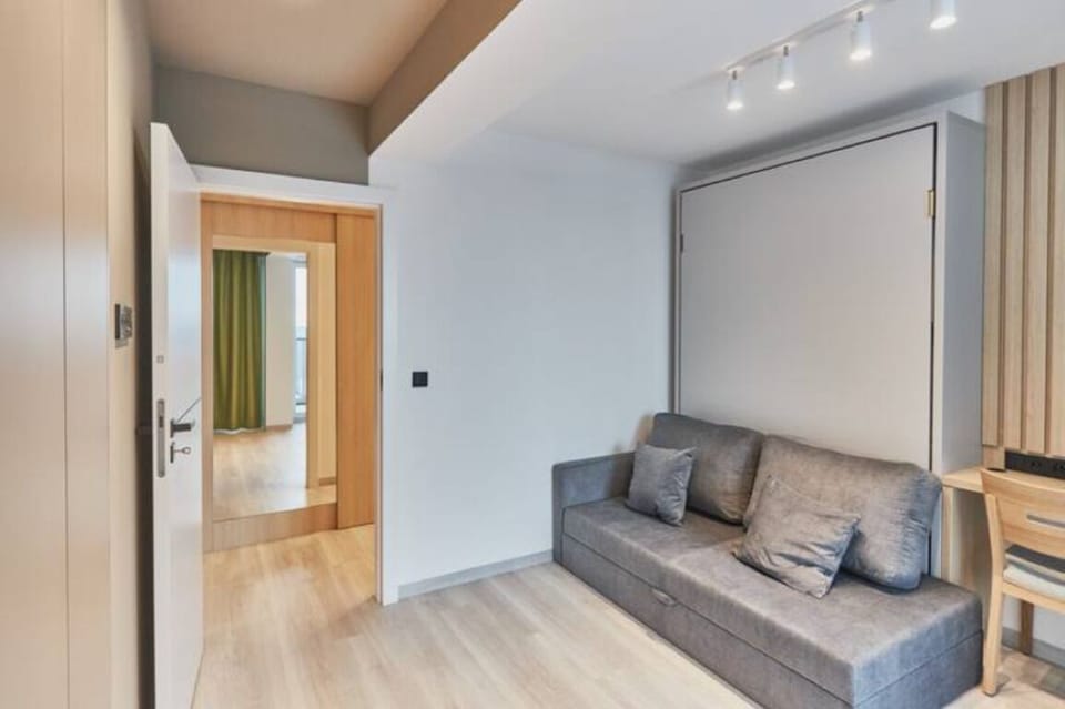 Premium Apartment | Living area | 28-inch flat-screen TV with cable channels, TV