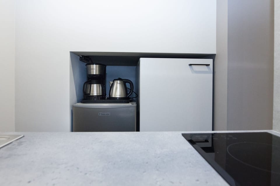 Studio | Private kitchen | Full-size fridge, oven, toaster, cookware/dishes/utensils
