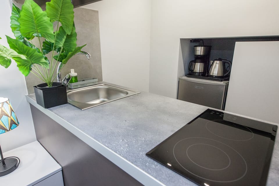 Studio | Private kitchen | Full-size fridge, oven, toaster, cookware/dishes/utensils