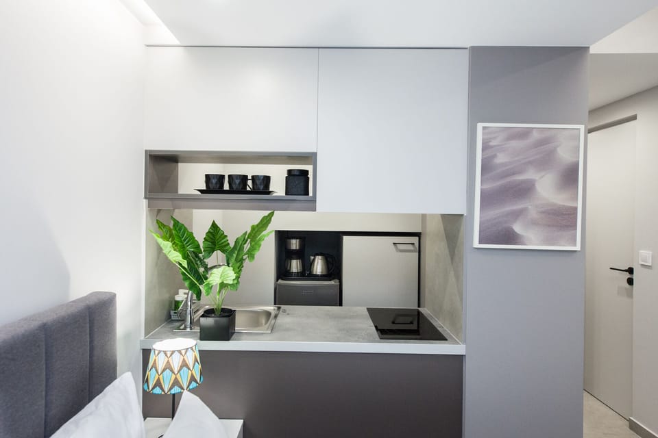 Studio | Private kitchen | Full-size fridge, oven, toaster, cookware/dishes/utensils
