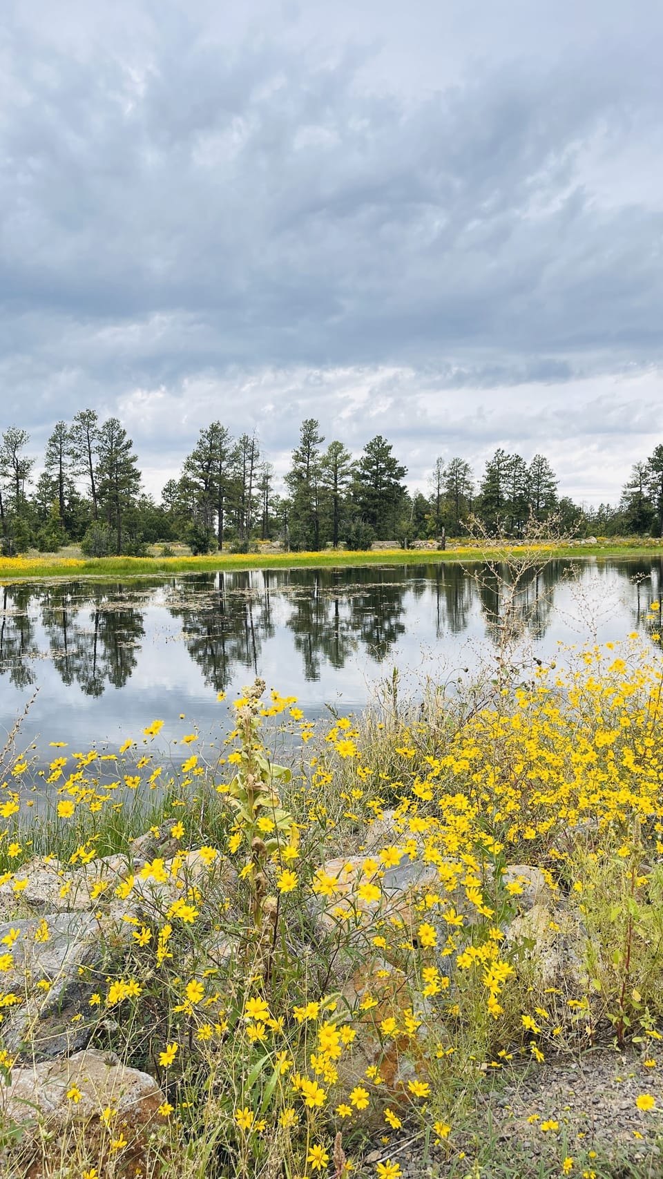 Walking distance from Woodland Lake