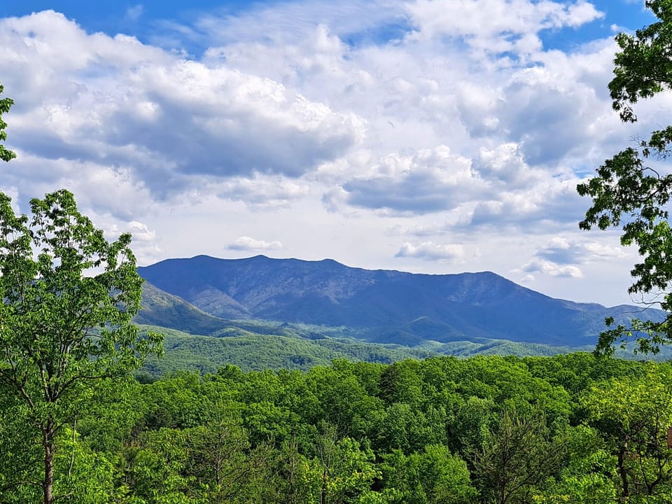 Mt LeConte - footsteps away from the cabin
