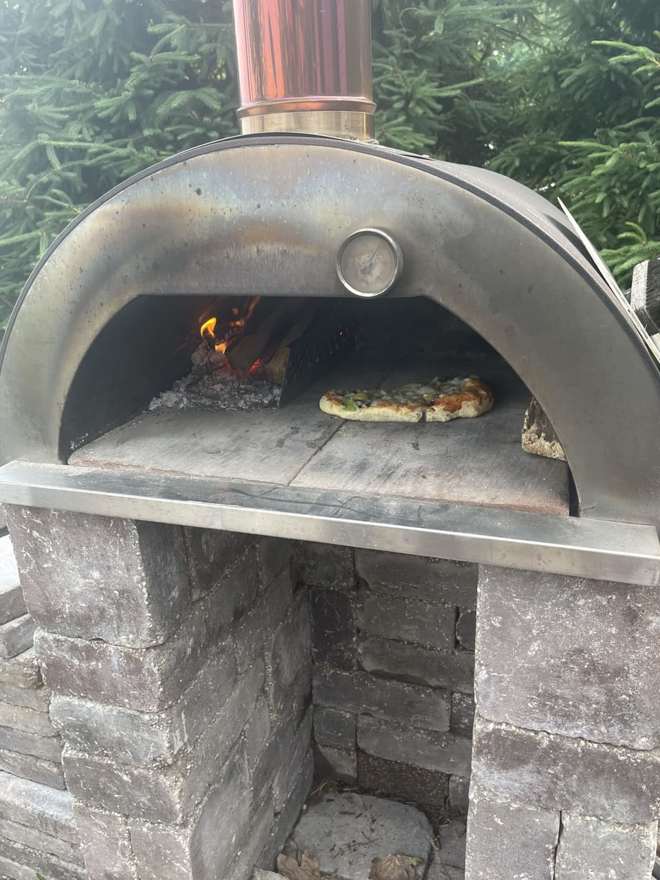 Wood fired pizza oven 