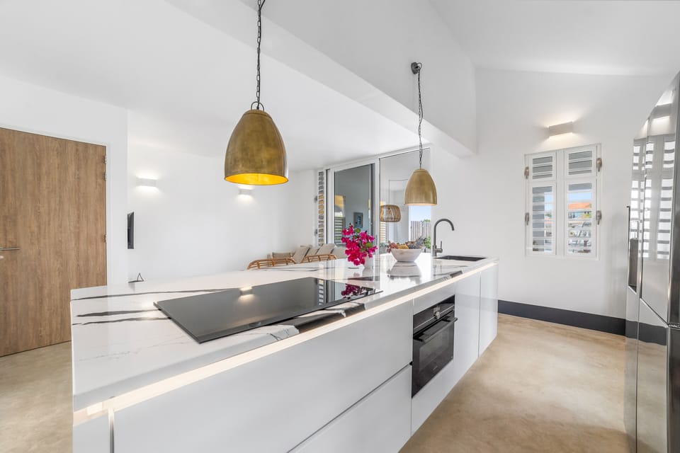 Premium House | Private kitchen | Full-size fridge, microwave, oven, dishwasher