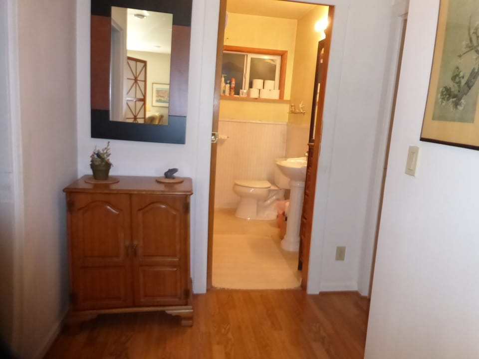 downstairs bathroom 