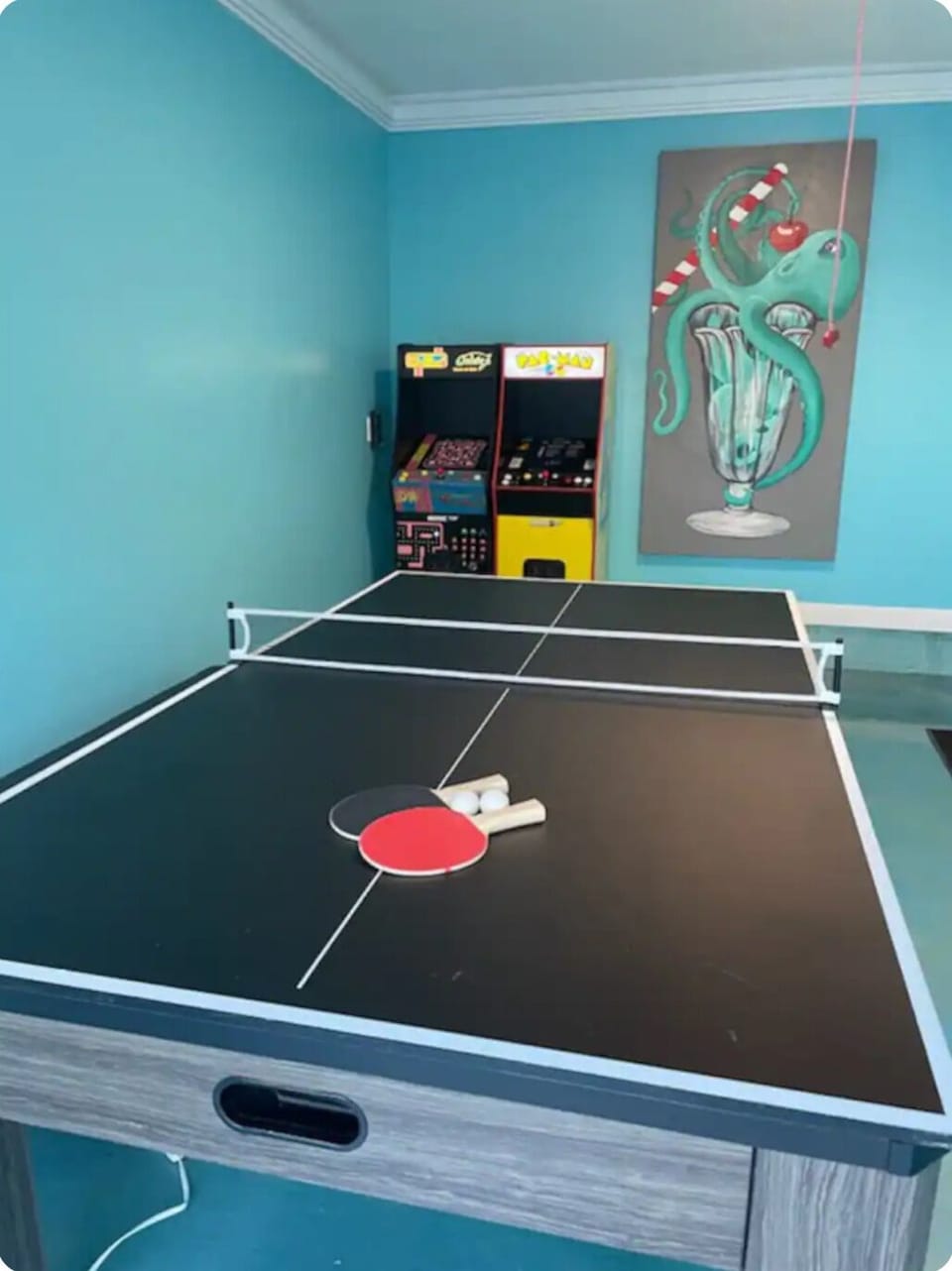 Ping-Pong and Air Hockey Table