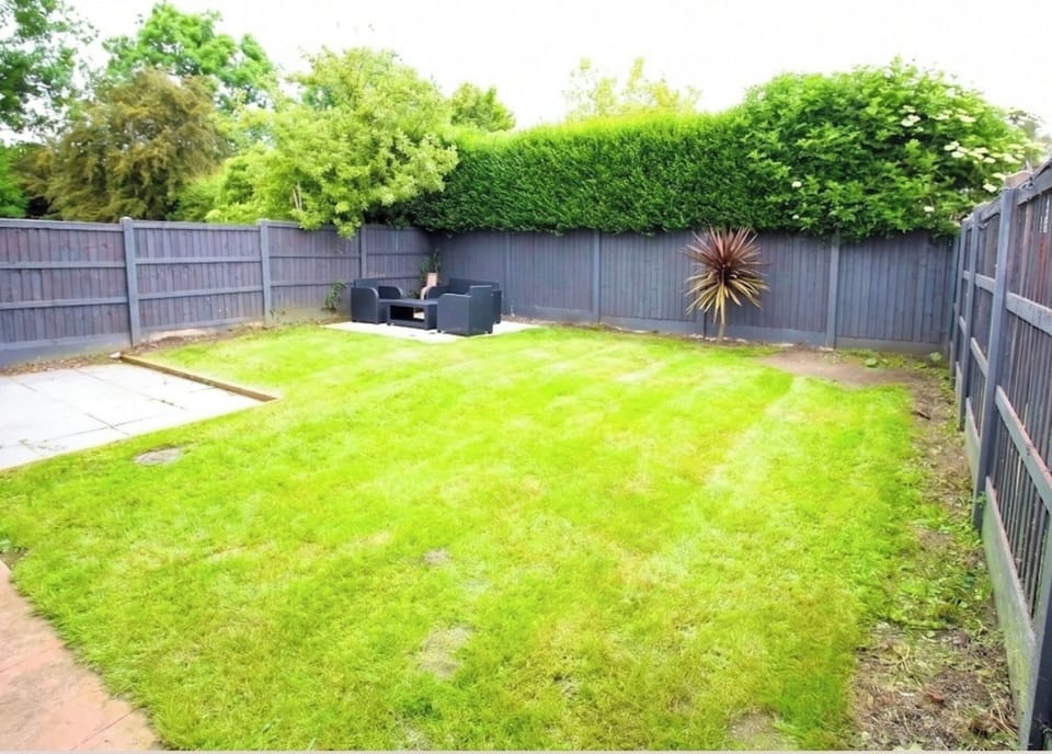 Image 25