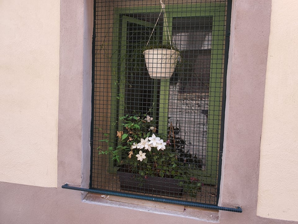 Image 13