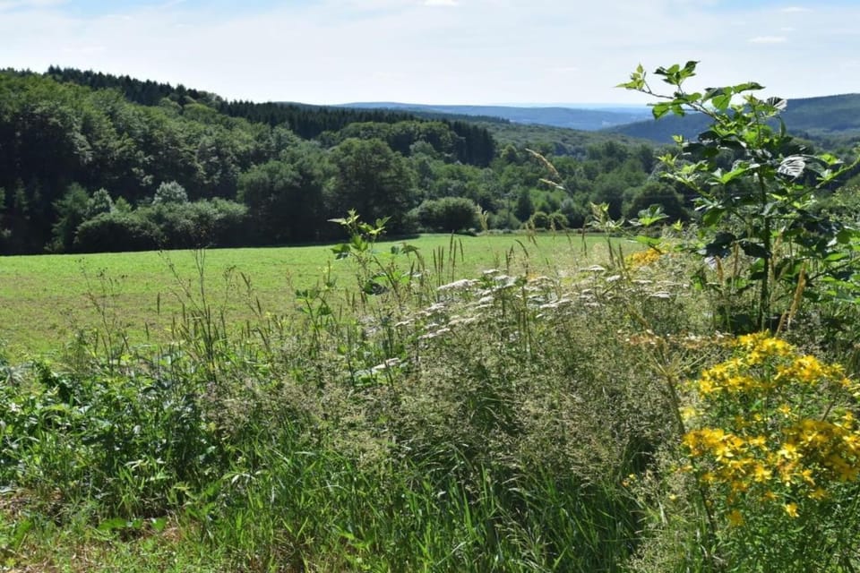 Region [summer] (>5 km)