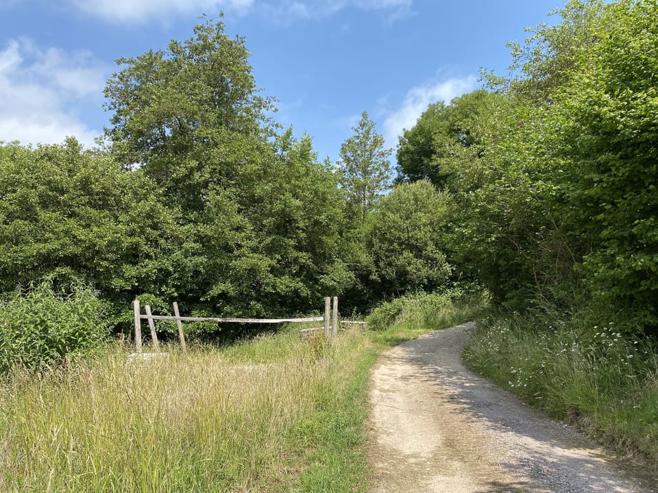 Track to Oak Hut