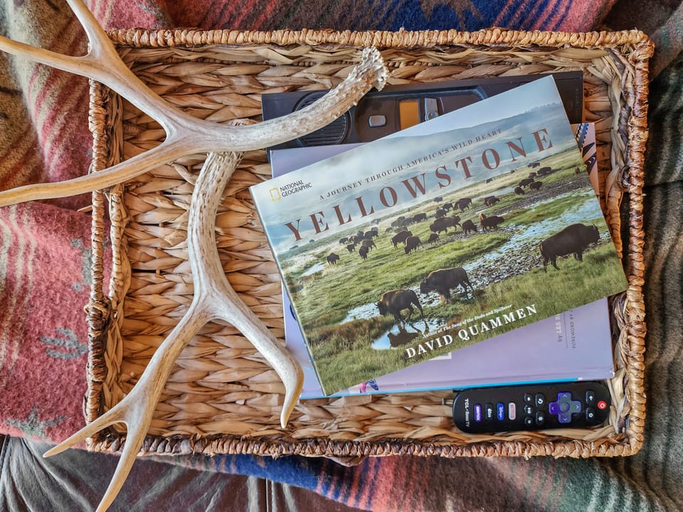 or catch up on a good book