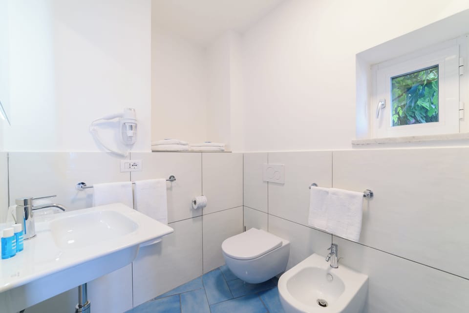Deluxe Room | 1 bedroom, Egyptian cotton sheets, premium bedding, down comforters