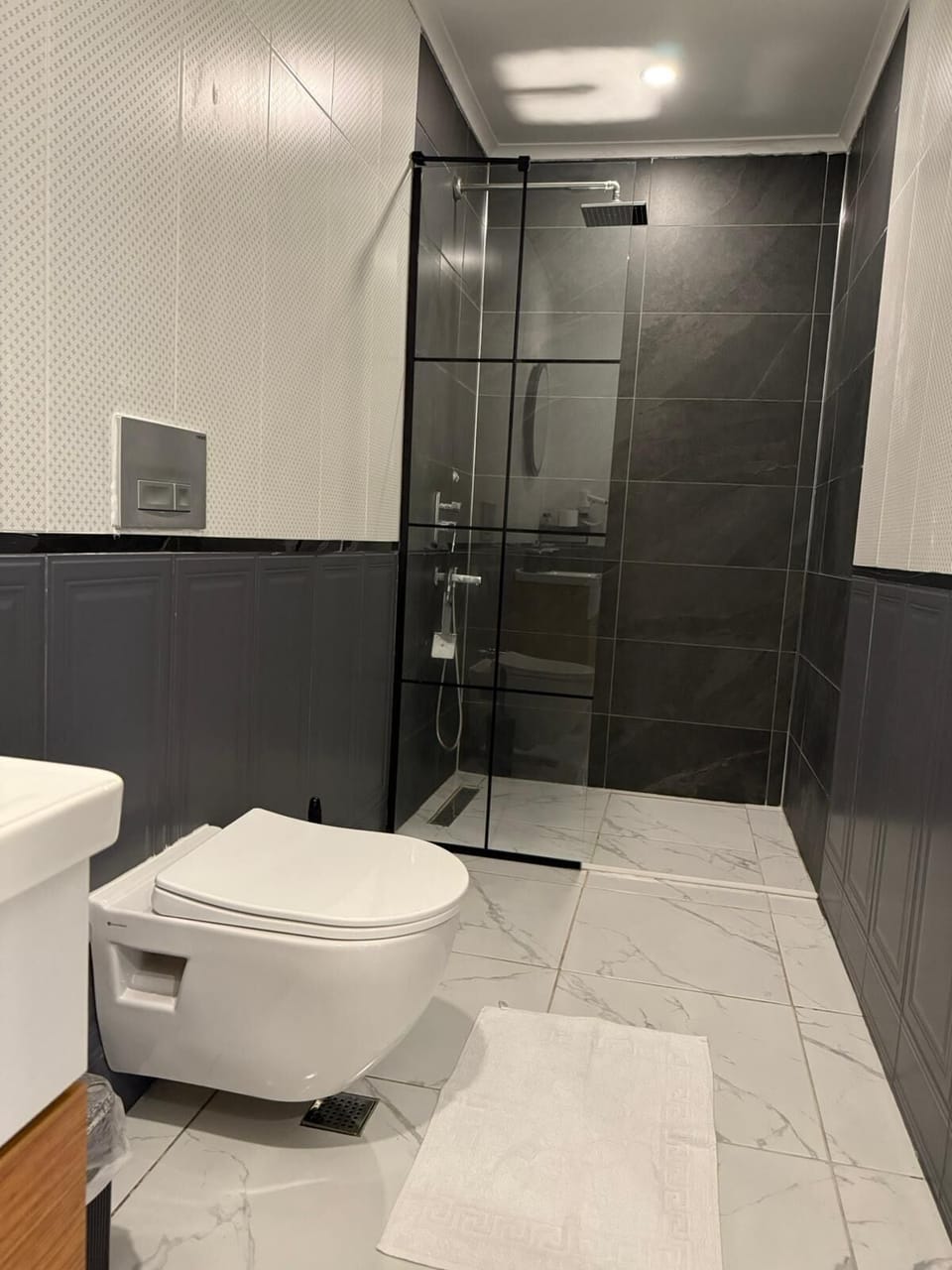 Shower, hydromassage showerhead, hair dryer, bidet