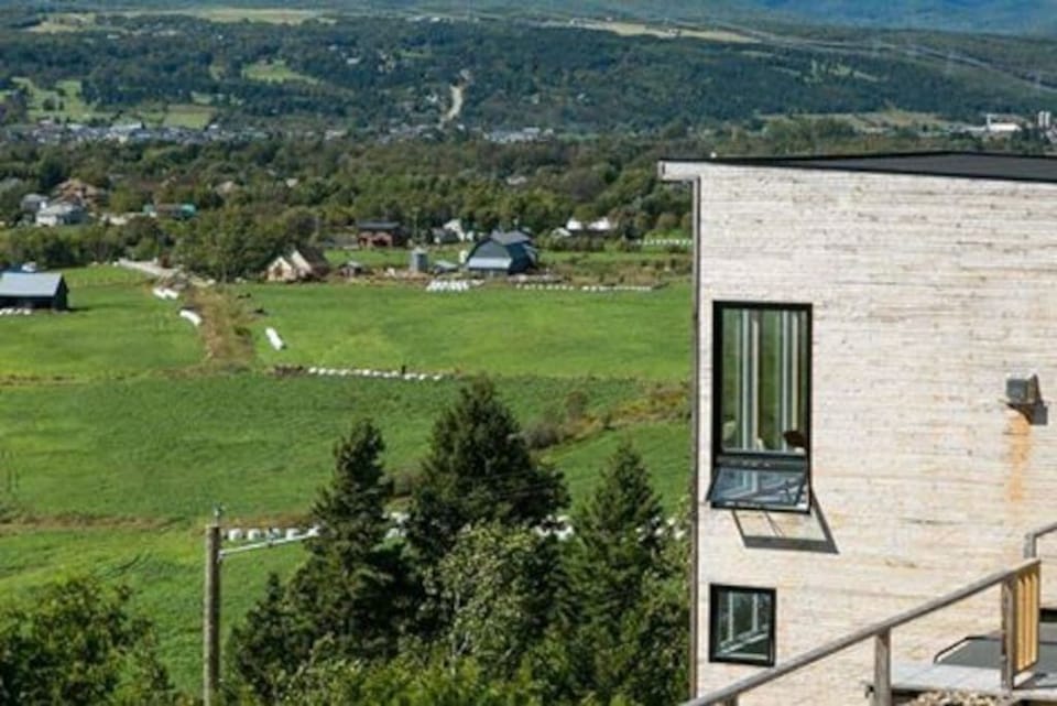 View on Baie-St-Paul (2)