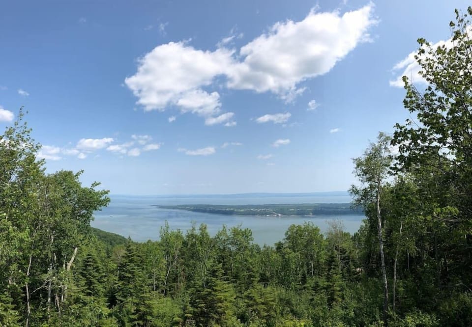 View
