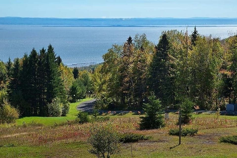 View (3)
