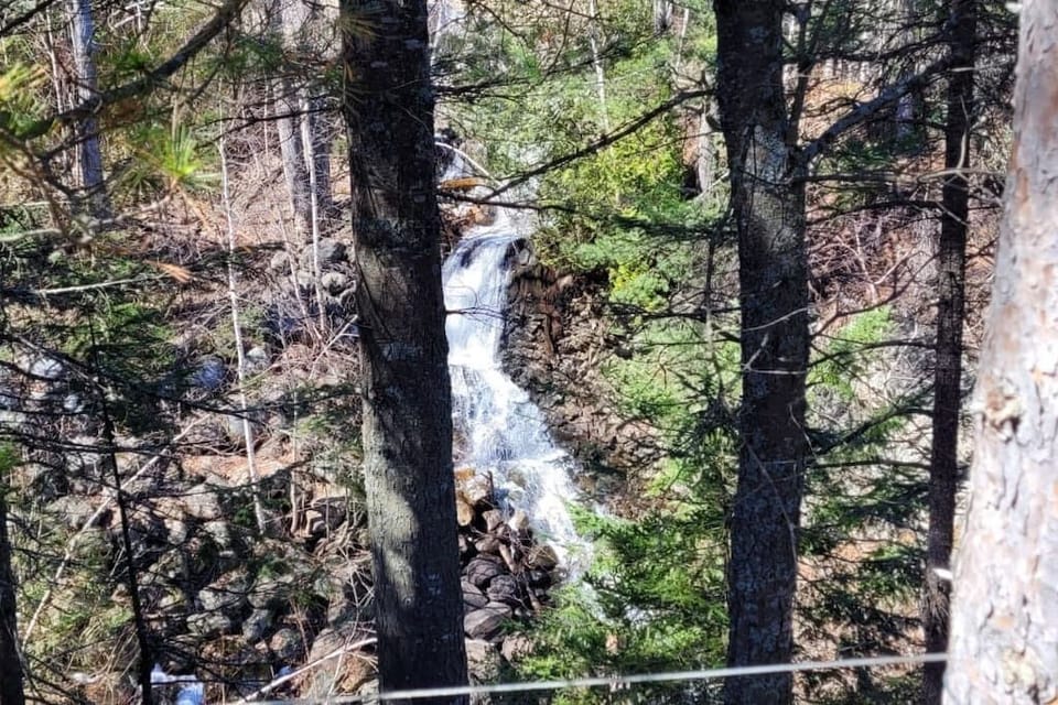 Nearby activity (1)