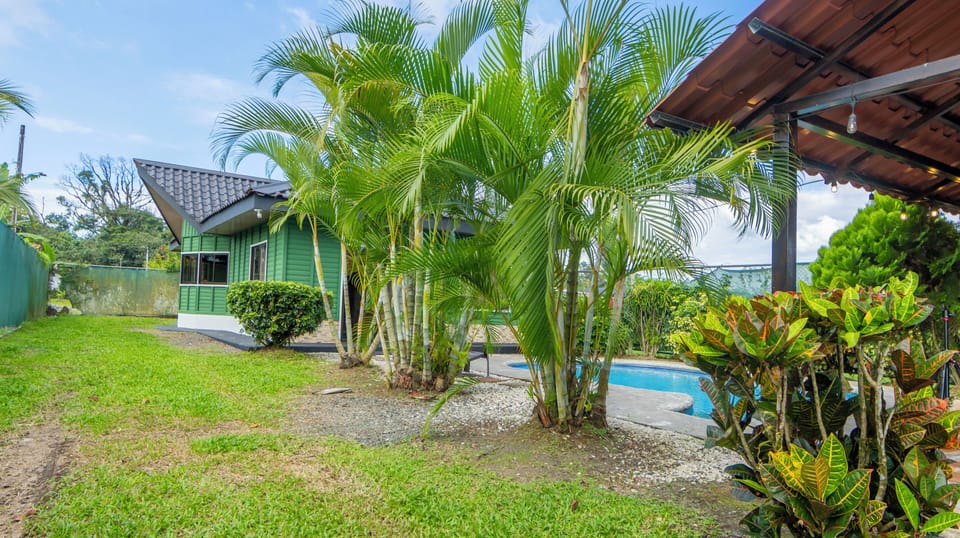 Garden and palms beside the private pool.