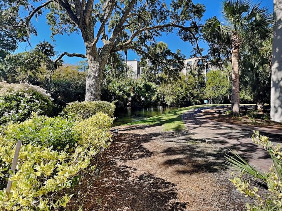 Condo (3 Bedrooms) | Property amenity