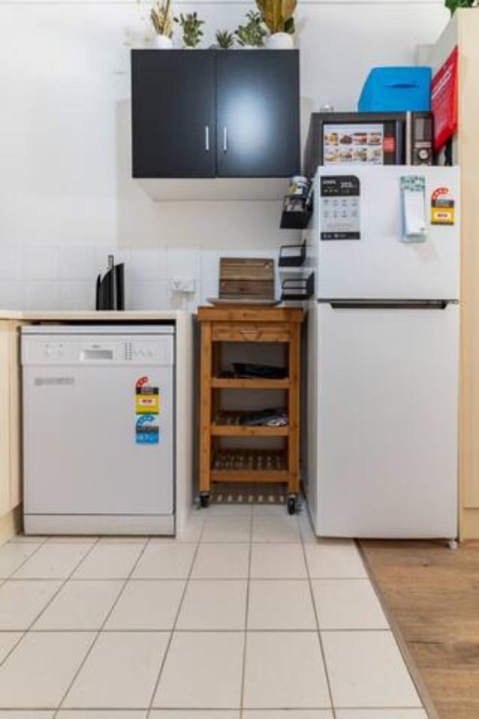Dishwasher and good sized fridge