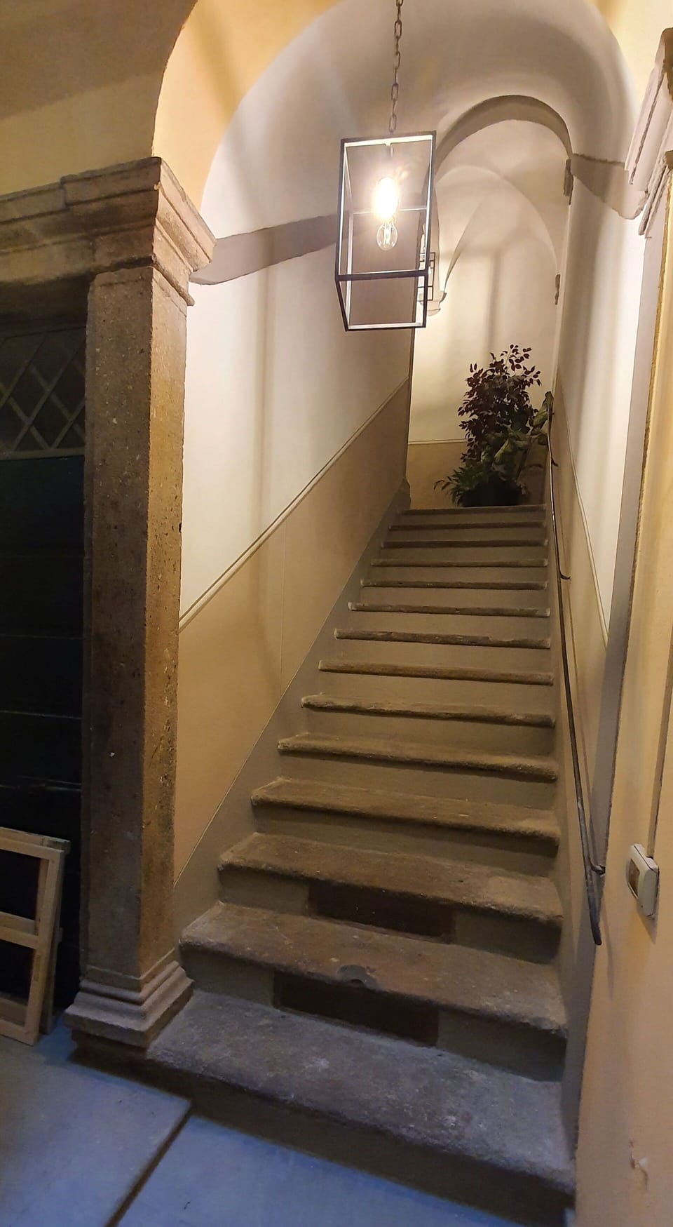 Stairs, Wood, Interior Design, Building, Flooring, Floor, Hardwood, Houseplant, Tints And Shades