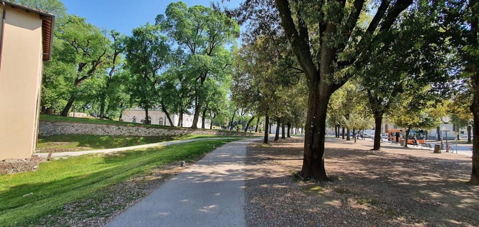 Plant, Sky, Tree, Road Surface, Shade, Natural Landscape, Thoroughfare, Grass, Landscape, Asphalt