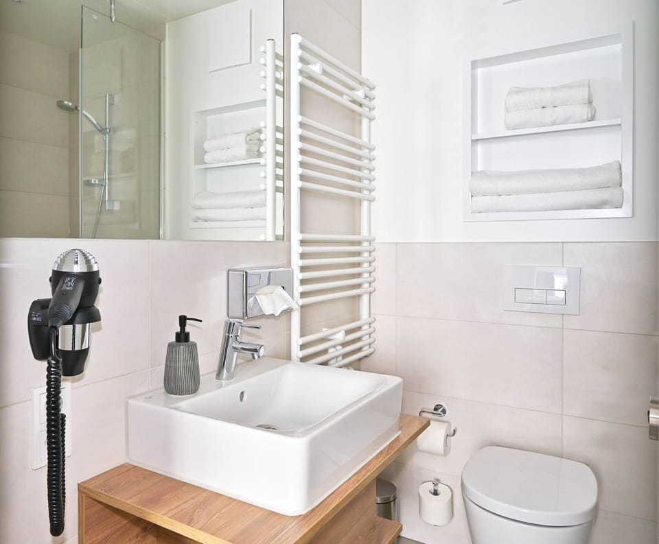 Shower, hair dryer, towels