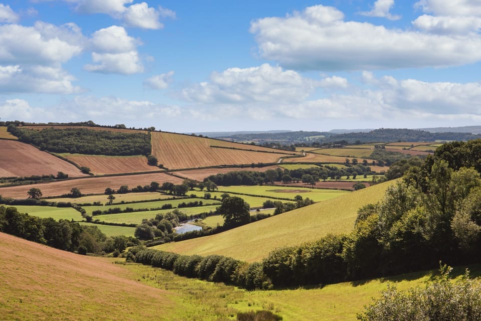 The countryside surrounding at Redbrick Studio, Devon